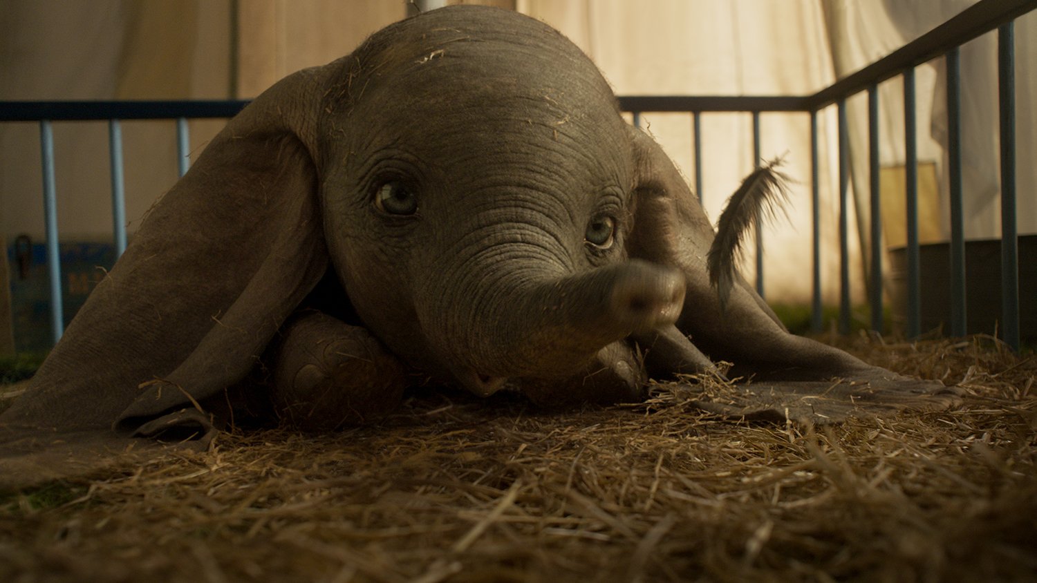 Dumbo1HD.jpg