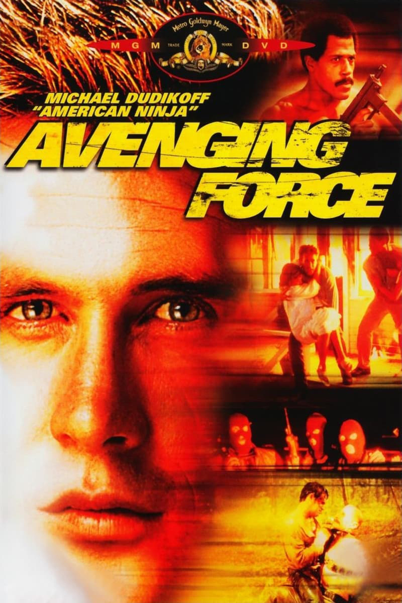 AvengingForce-dvd-02.jpg