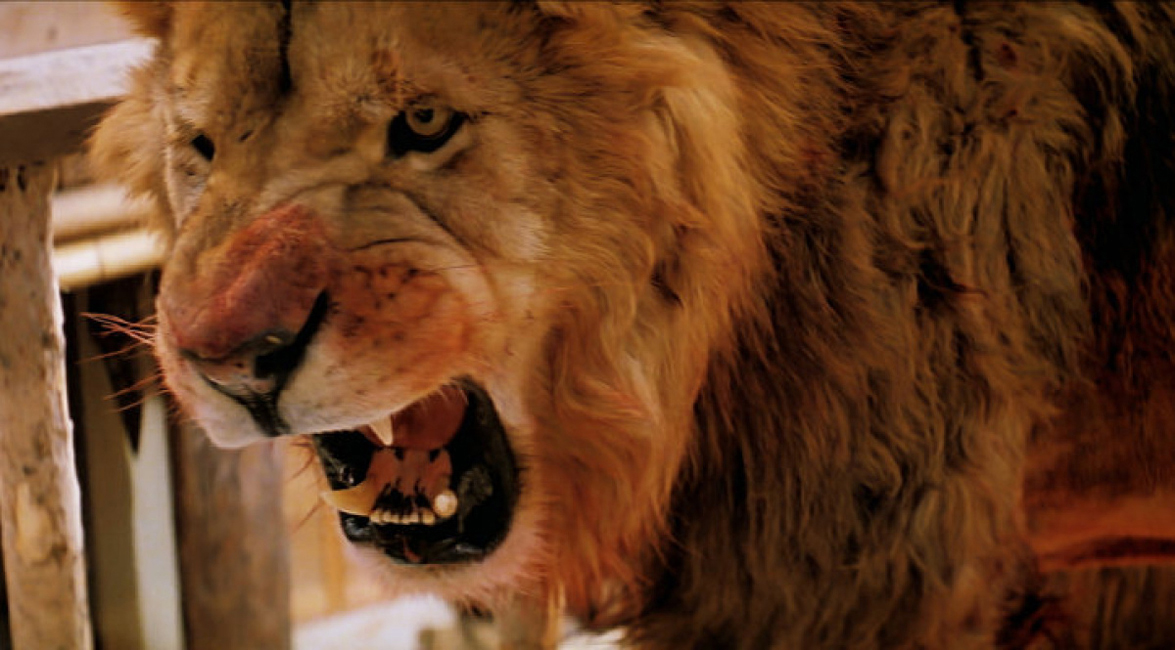 Roar-image-04.jpg