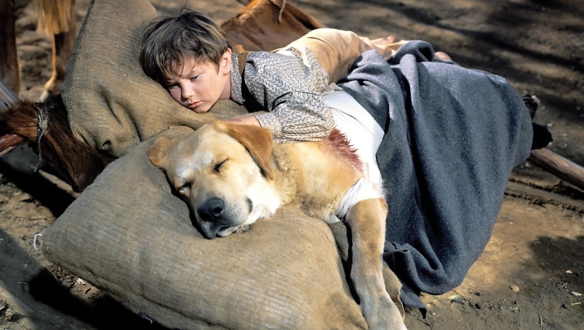 Old-Yeller-image2.jpg