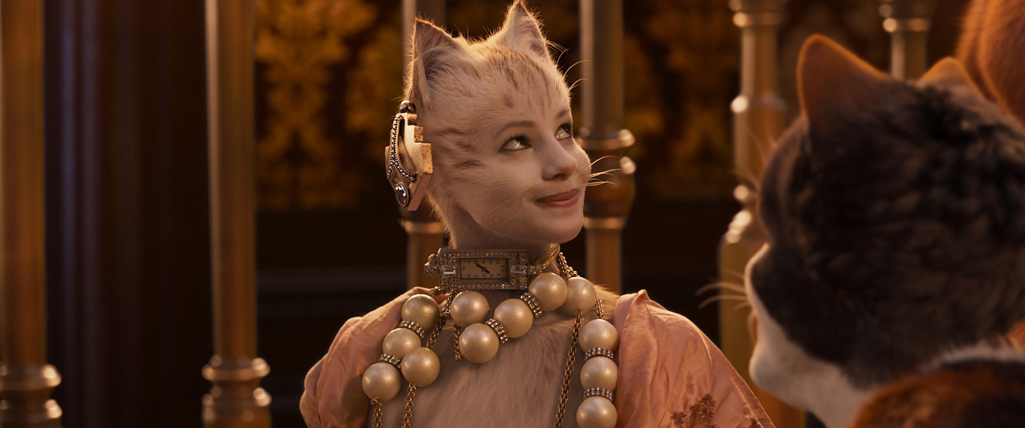 Cats2HD.jpg