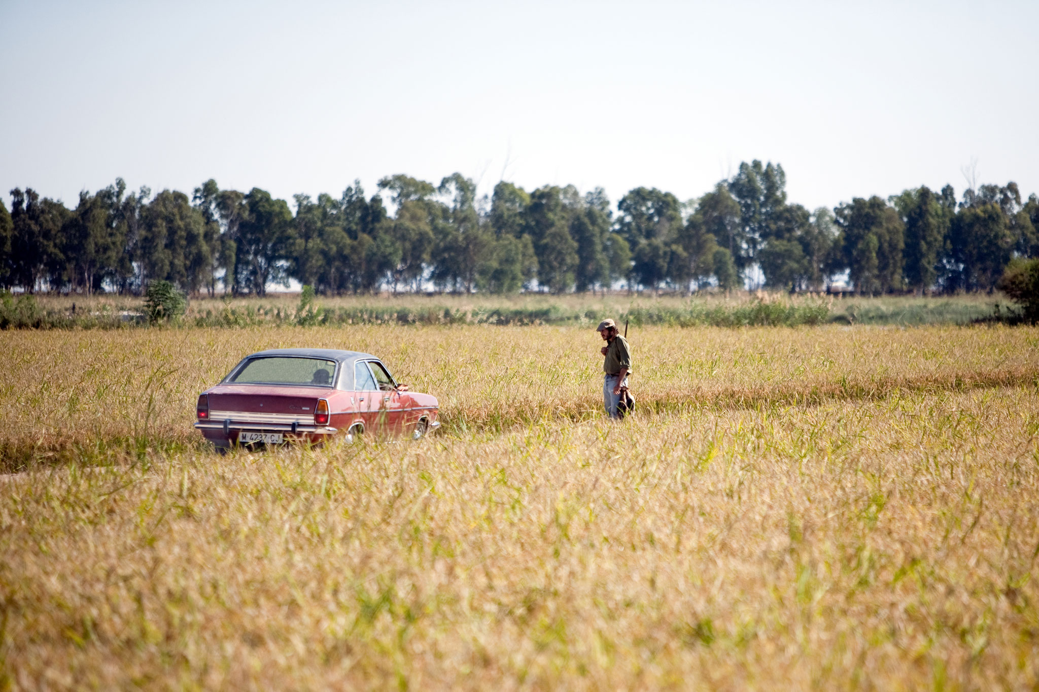 Marshland8_2048.jpg