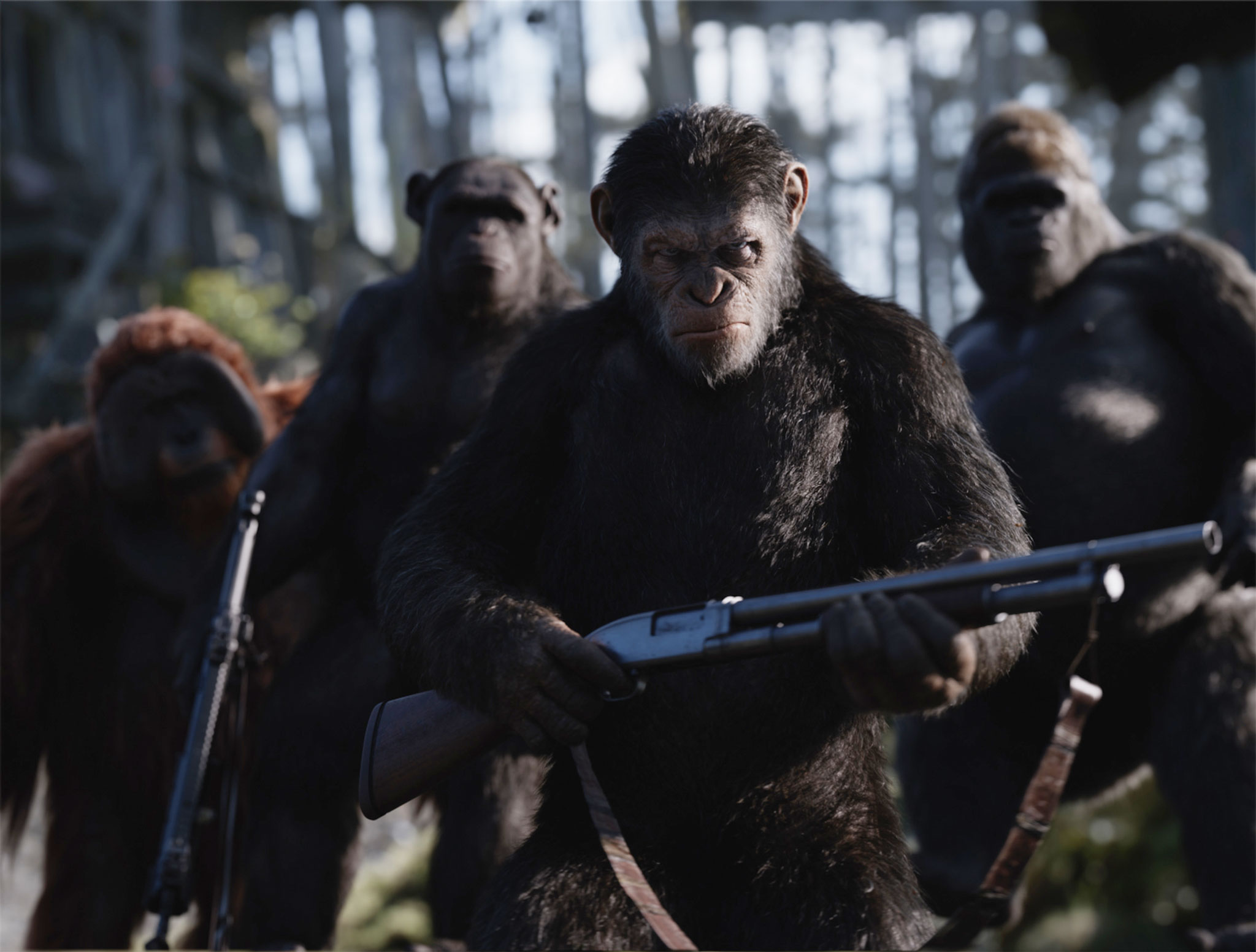 WarForPlanetOfTheApes8_2048.jpg