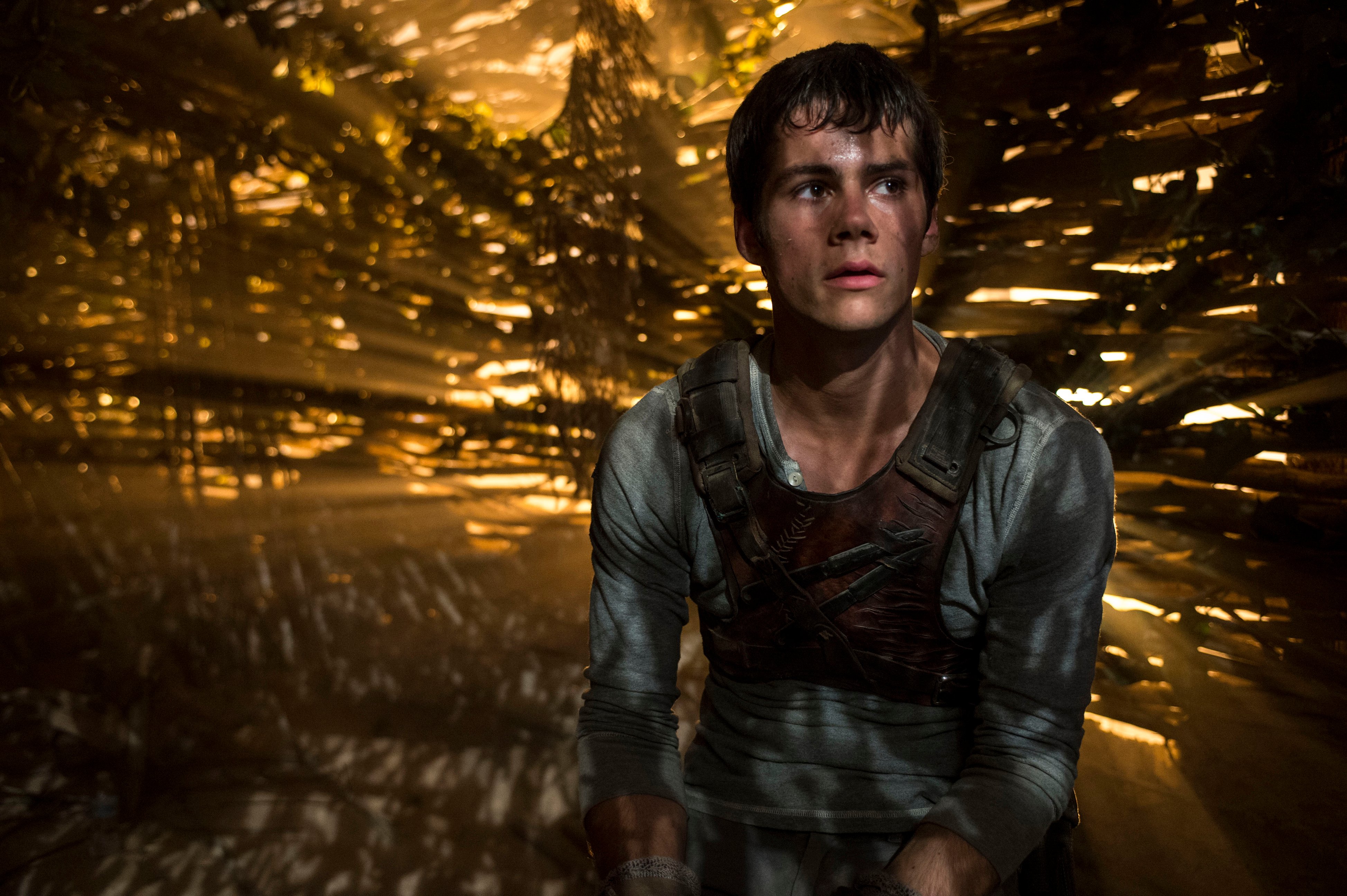 MazeRunner_DylanO_Brien_1.jpg