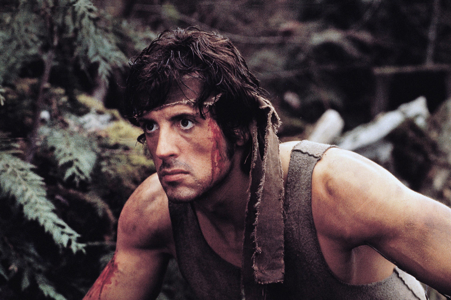 image-rambo-10.jpg