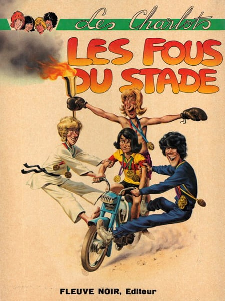 Fous_du_stade__Livre_.jpg