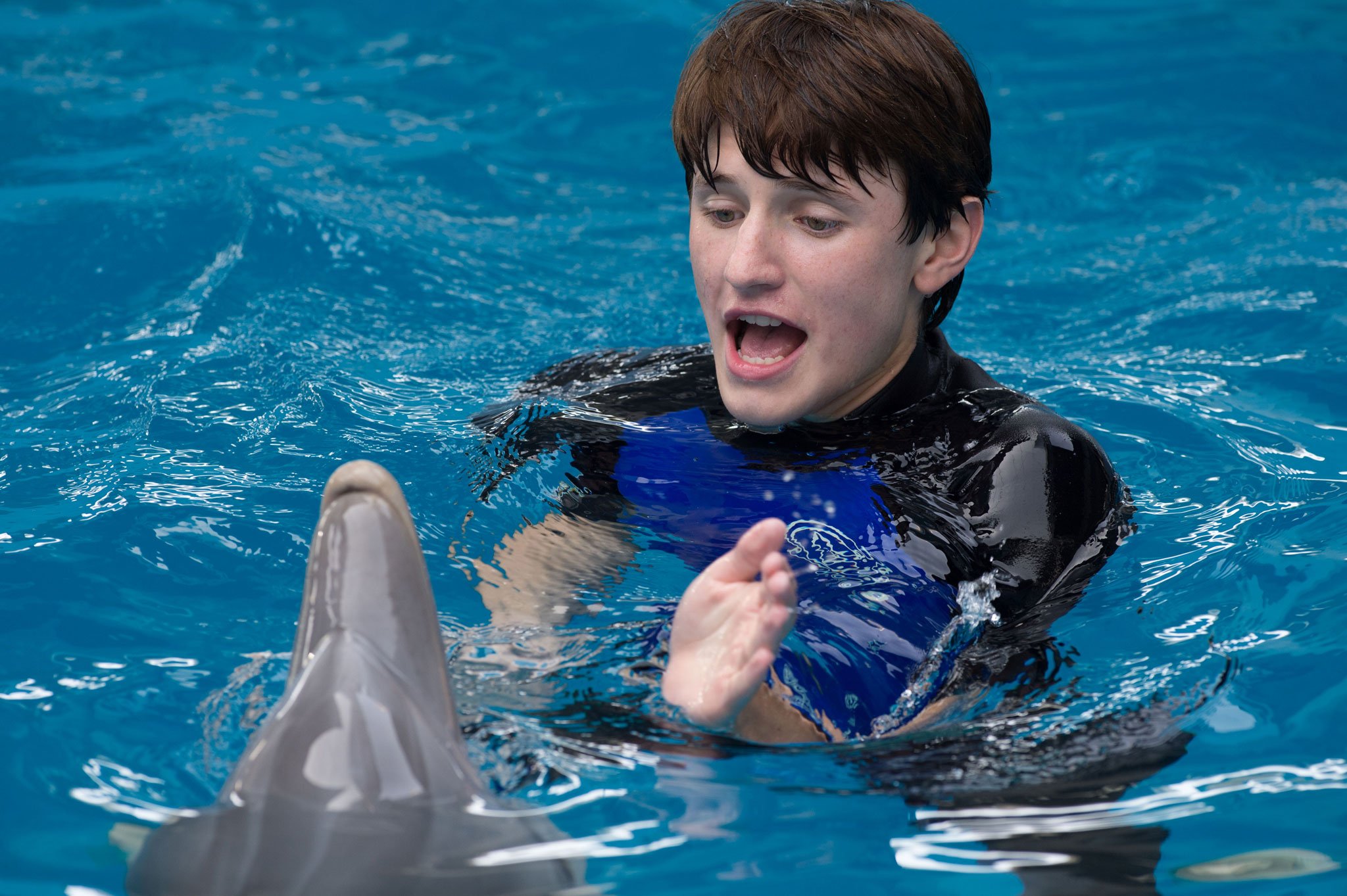 DolphinTale23_2048.jpg