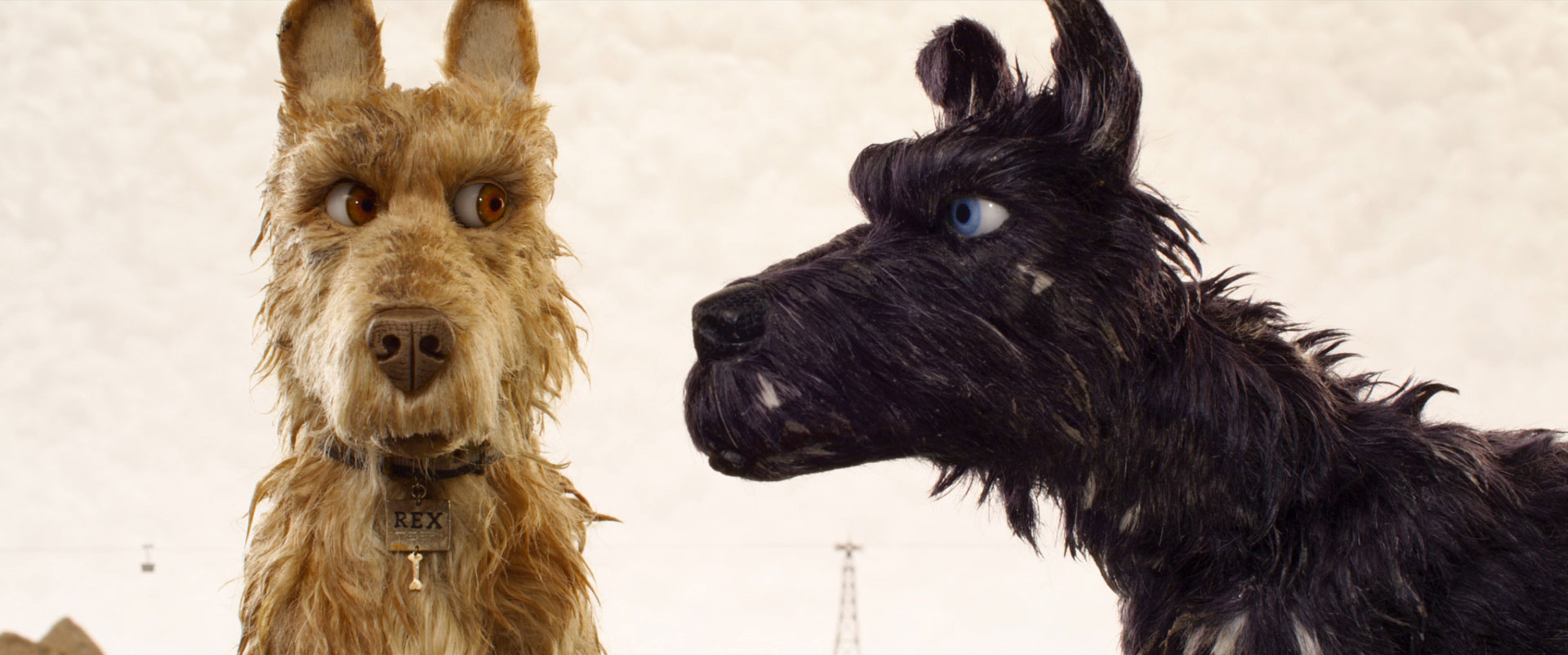 IsleOfDogs5.jpg