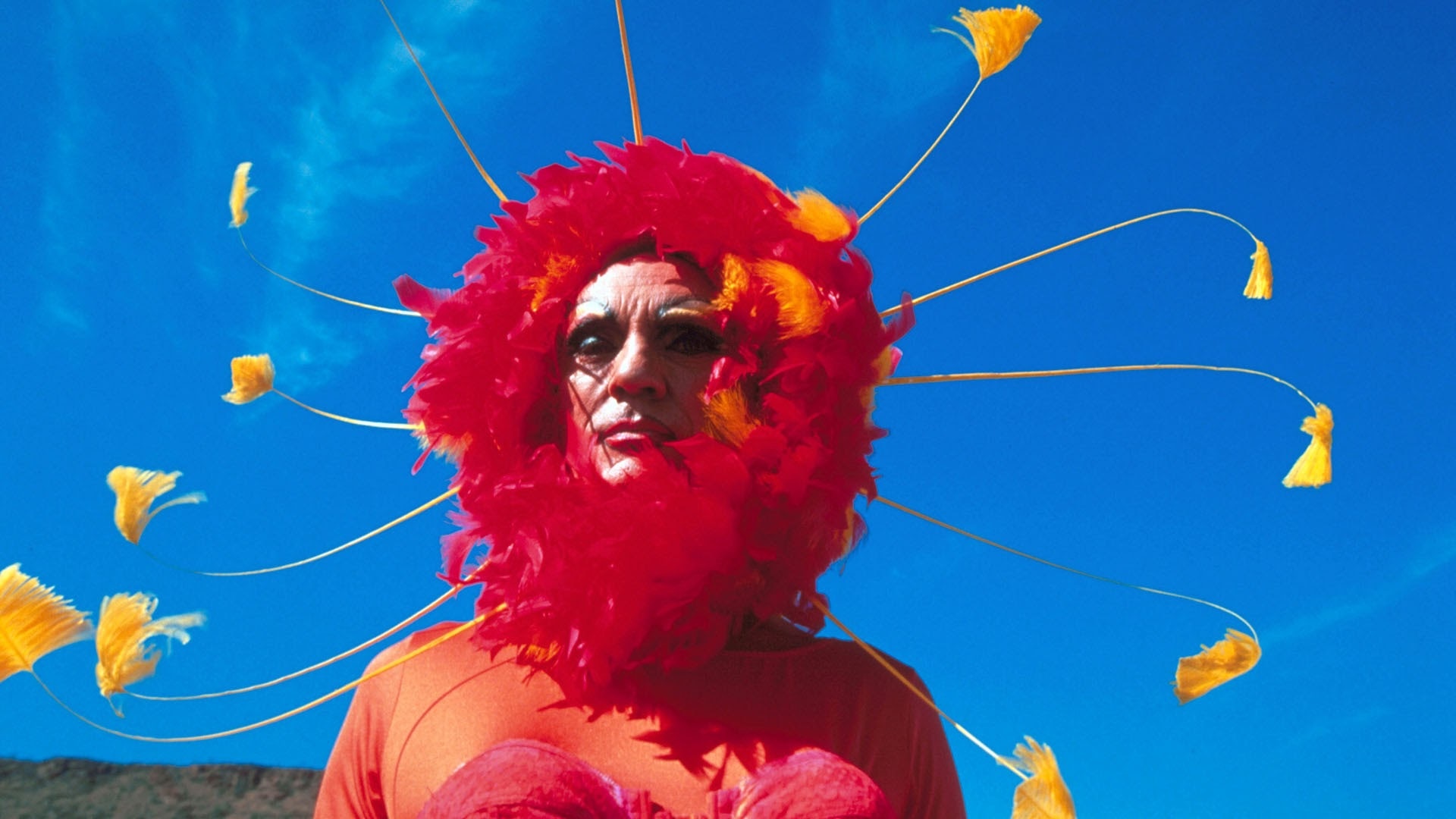 Adventures-Priscilla-image3.jpg