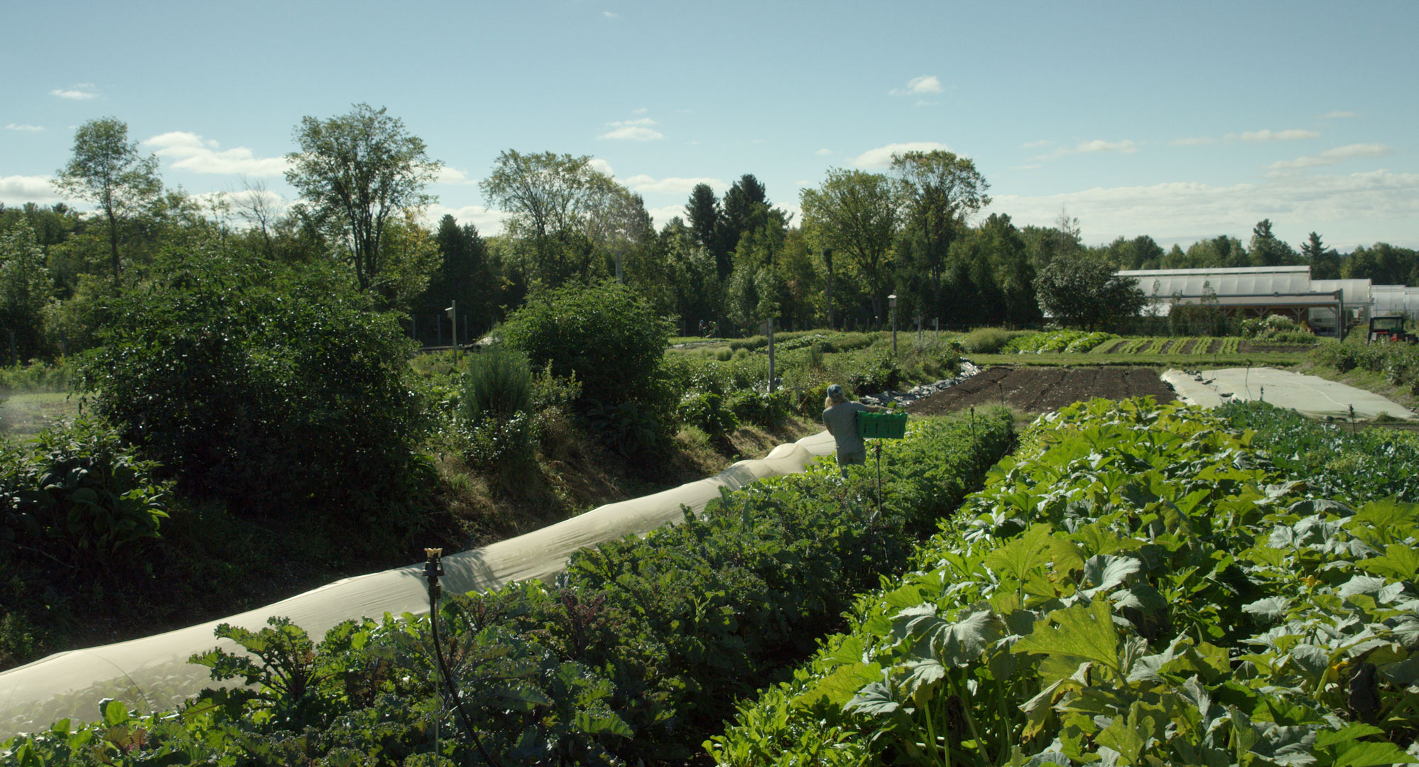 La_Ferme_photo_6.jpg