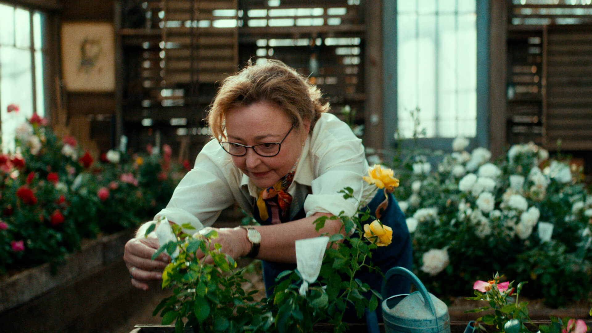 Catherine Frot en 3 questions image