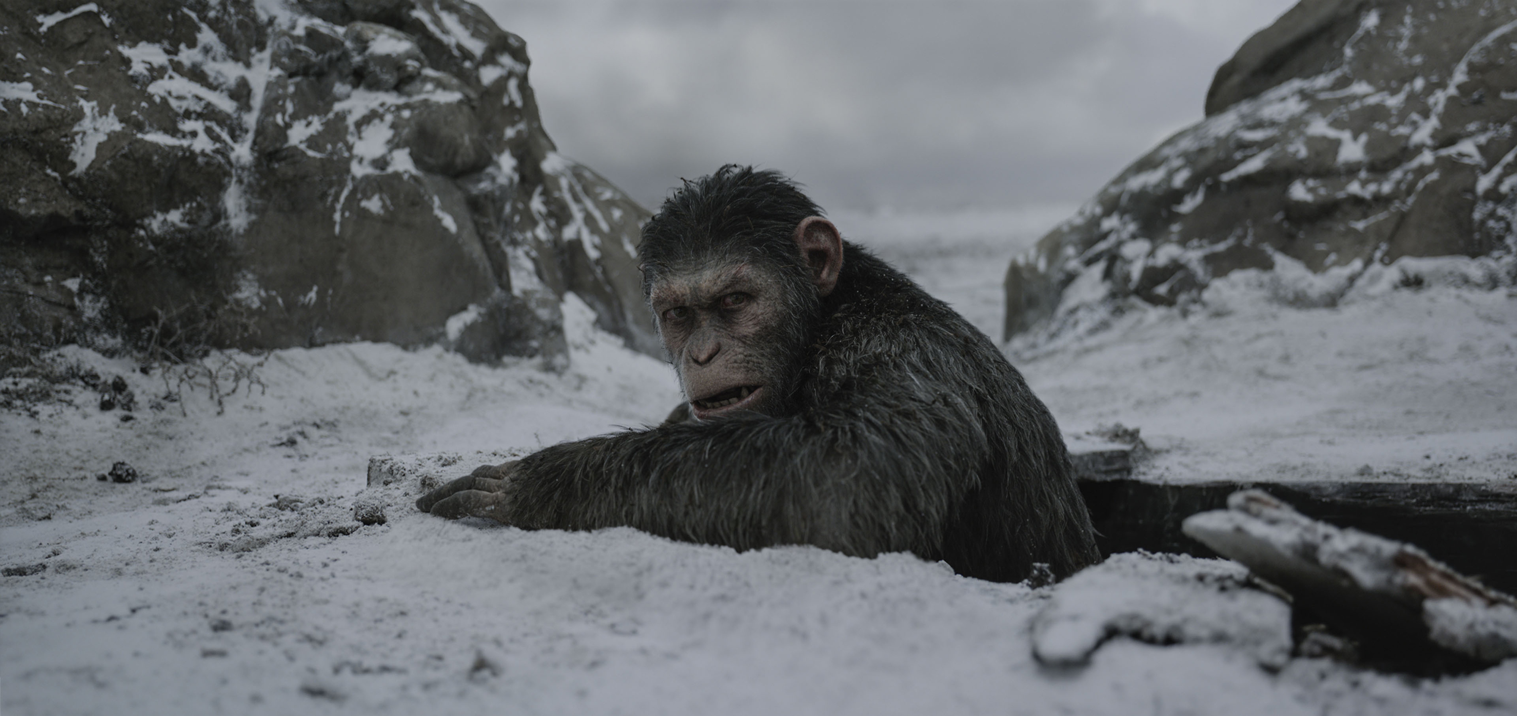 WarForPlanetOfTheApes_AndySerkis_1.jpg