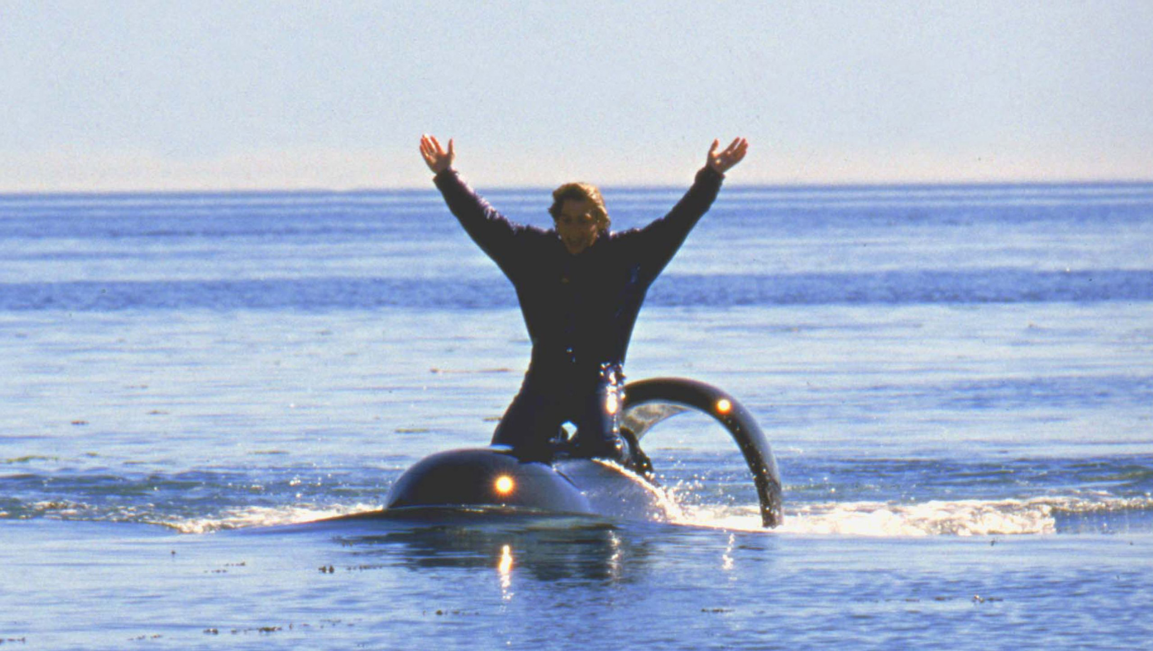 Free-Willy-2-image-05.jpg