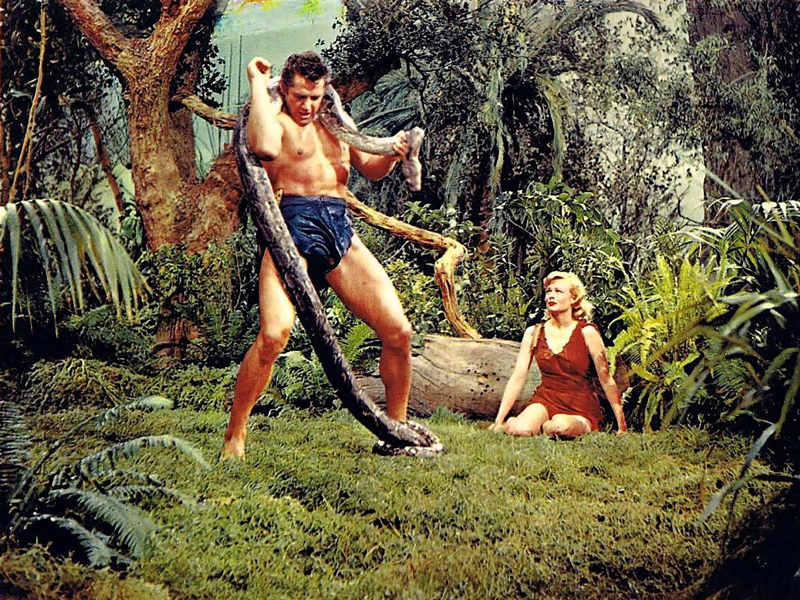 Tarzan_s_Fight_for_Life__Ph___4_.jpg