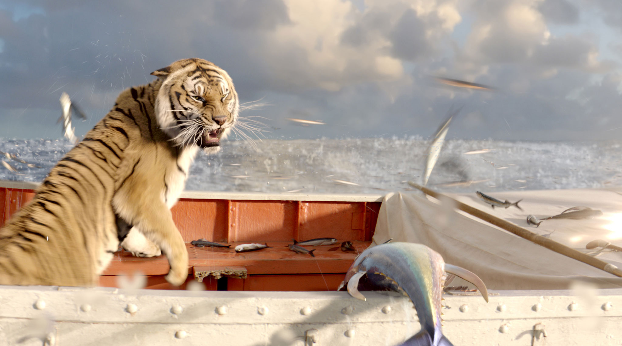 LifeOfPi3_2048.jpg