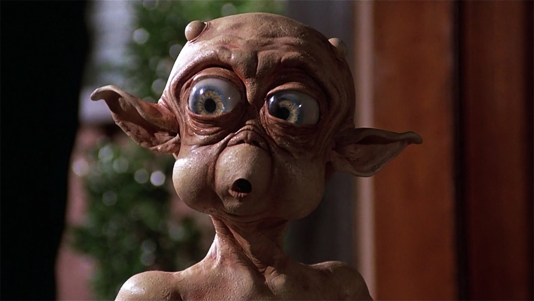 image-MacAndMe-04.jpg