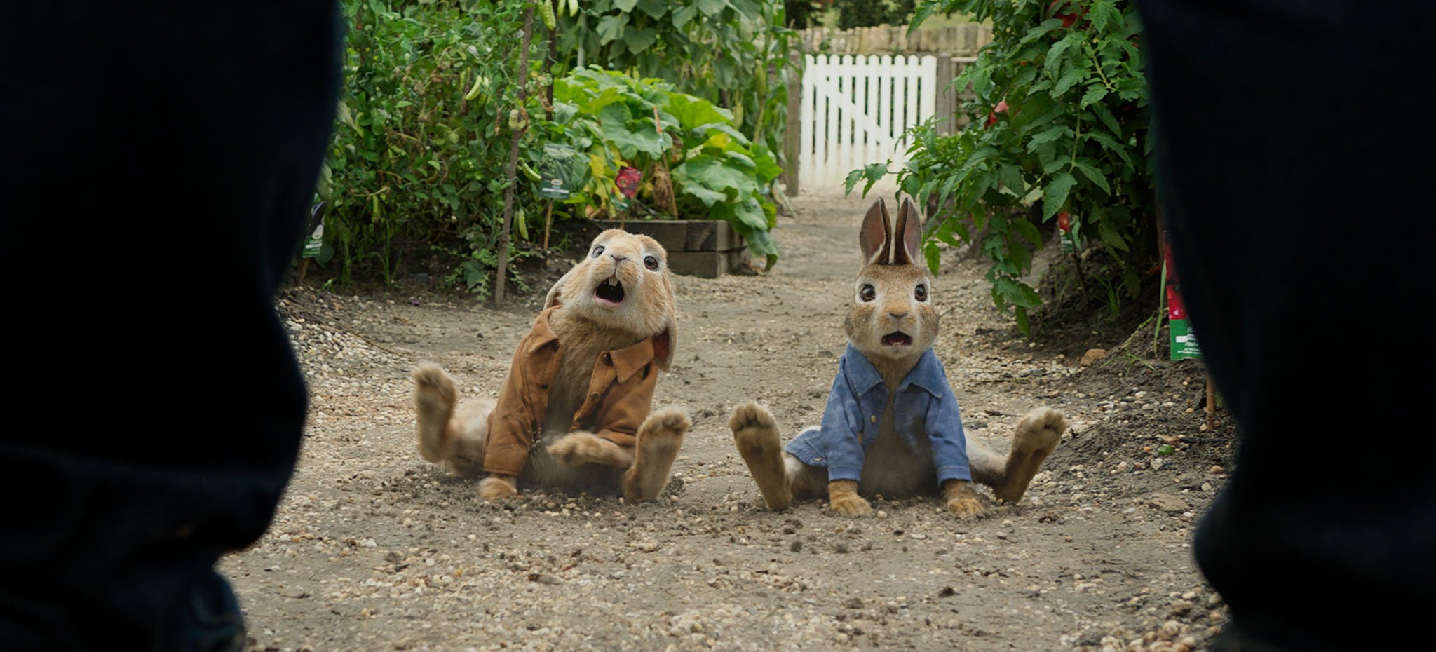 PeterRabbit7_2048.jpg