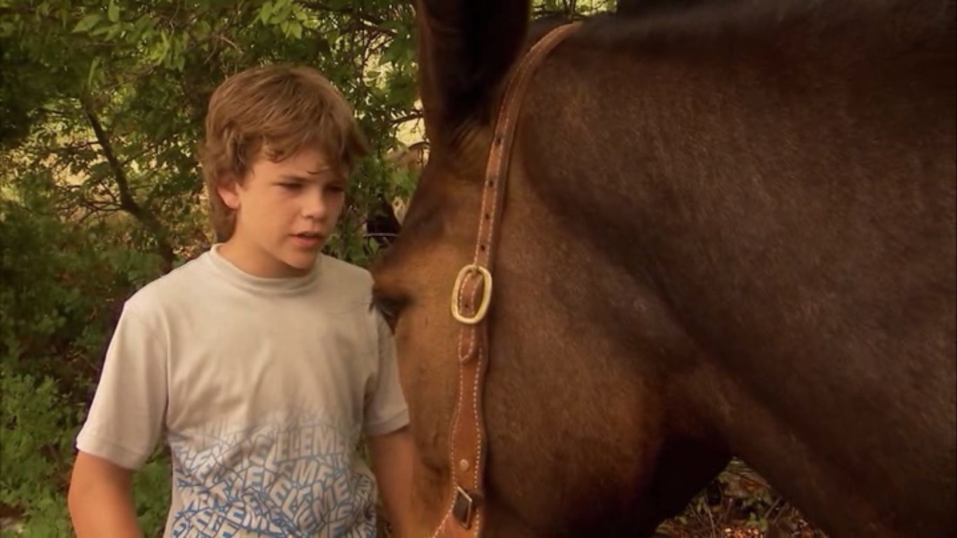 Tommy-Cool-Mule-image2.jpg