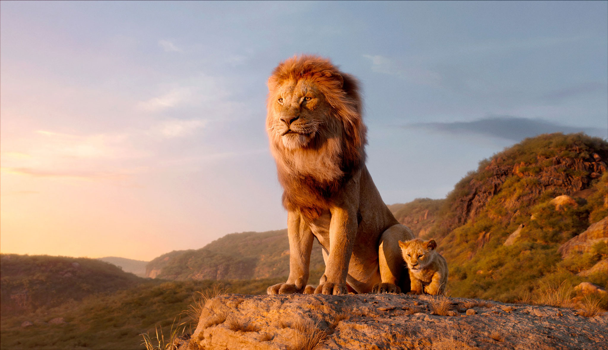 TheLionKing4.jpg