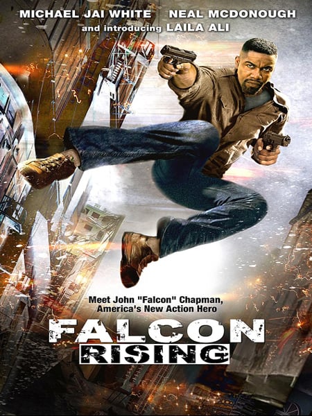 Falcon_Rising__DVD___2_.jpg