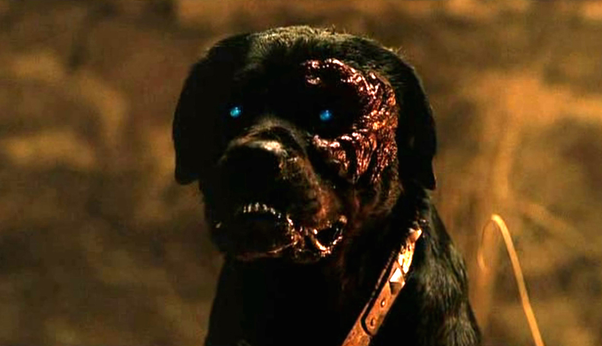 Rottweiler-image-05.jpg