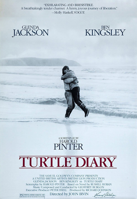 Turtle Diary