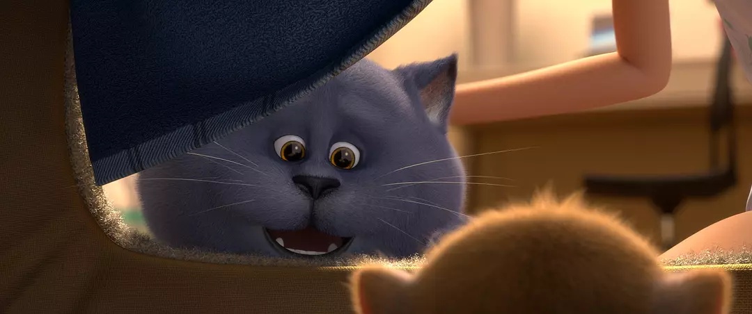 Oscar6.jpg