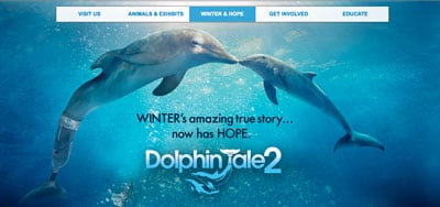 DolphinTale2SO.jpg