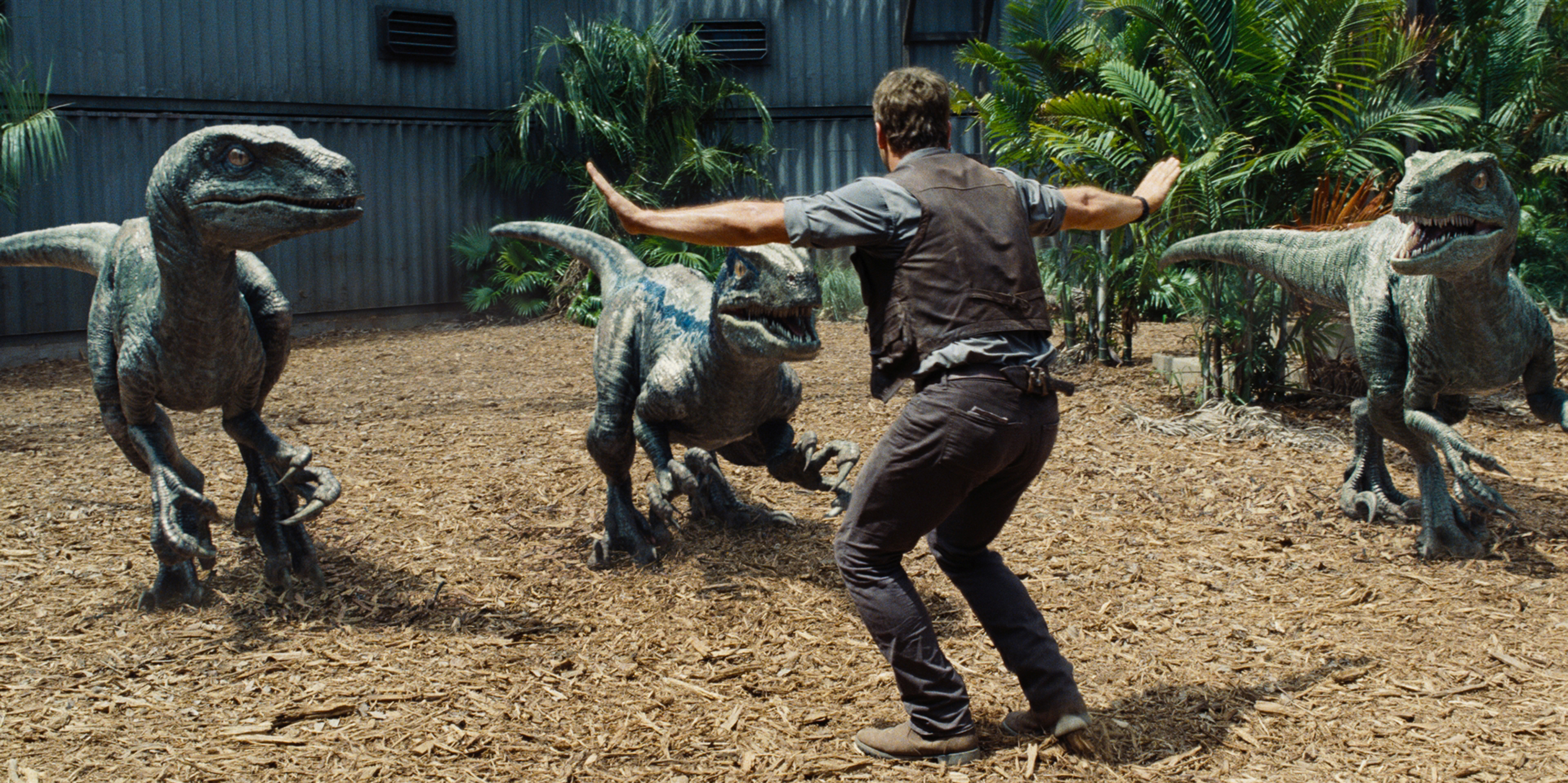 JurassicWorld_ChrisPratt_5.jpg