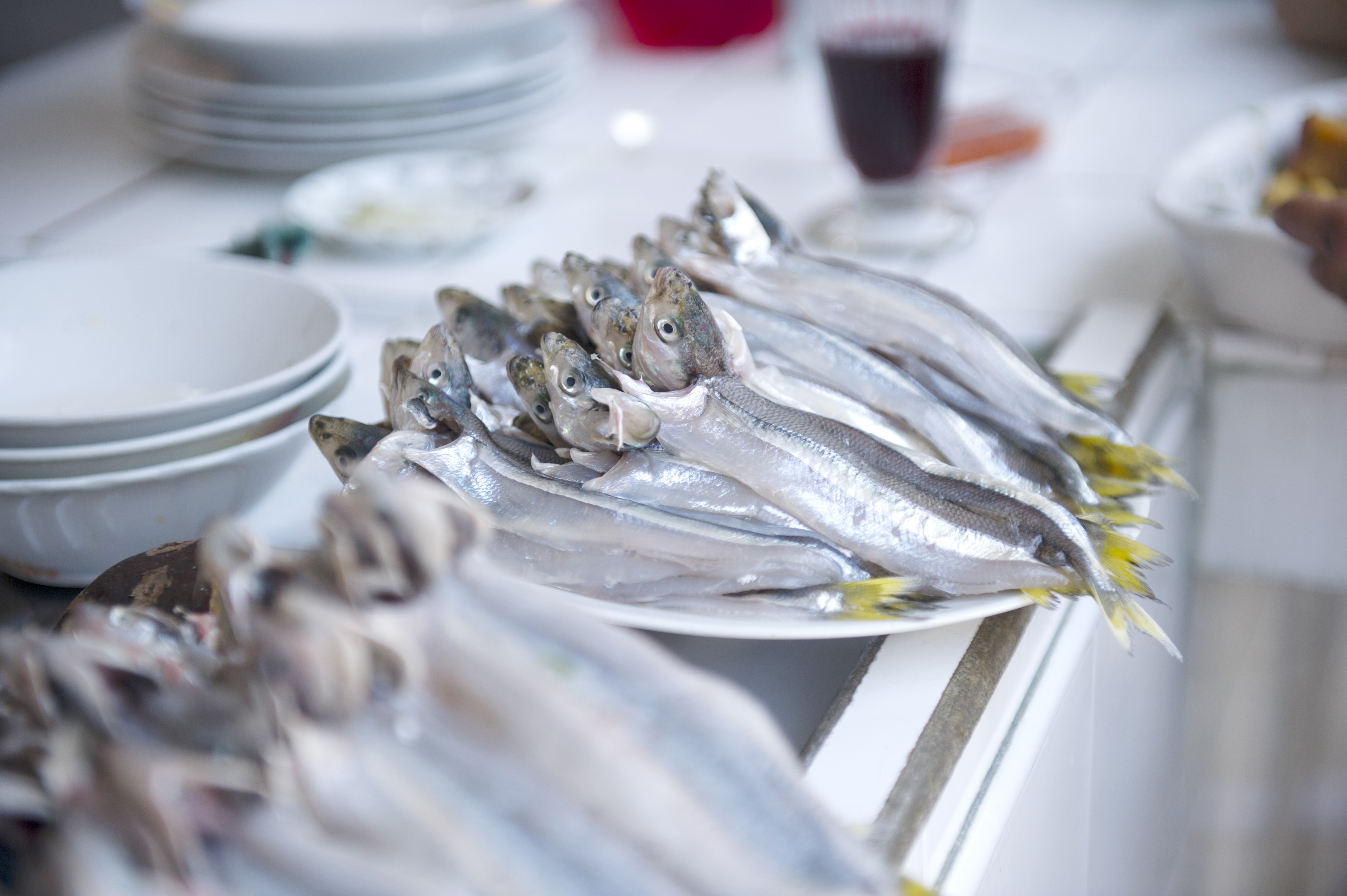 ADNCeviche6_300.jpg