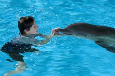 DolphinTale3.jpg