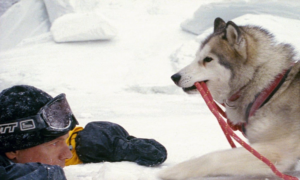 Eight_Below__Ph___7_.jpg