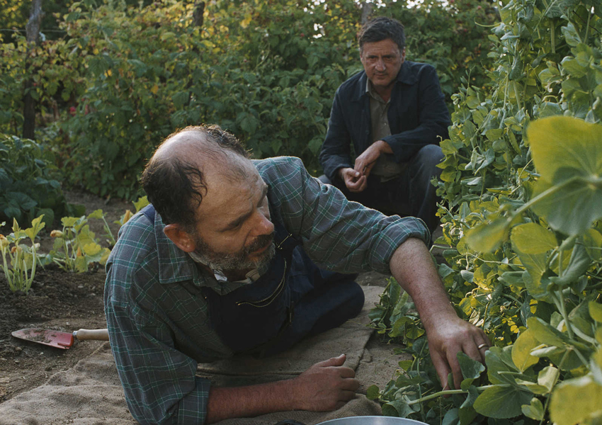 Dialogue_avec_mon_jardinier__Ph___7_.jpg