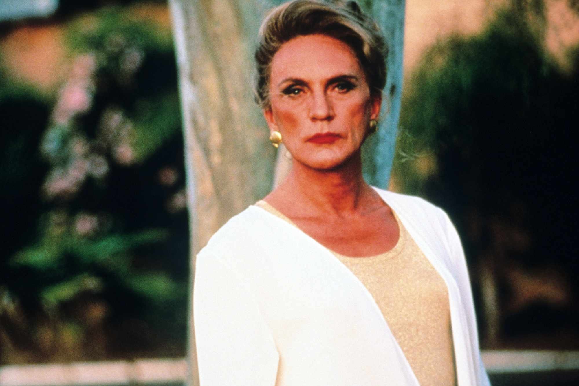 Adventures-Priscilla-image7.jpg