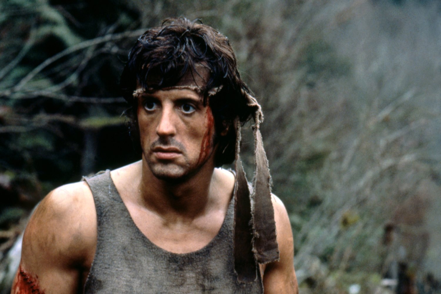 image-rambo-09.jpg