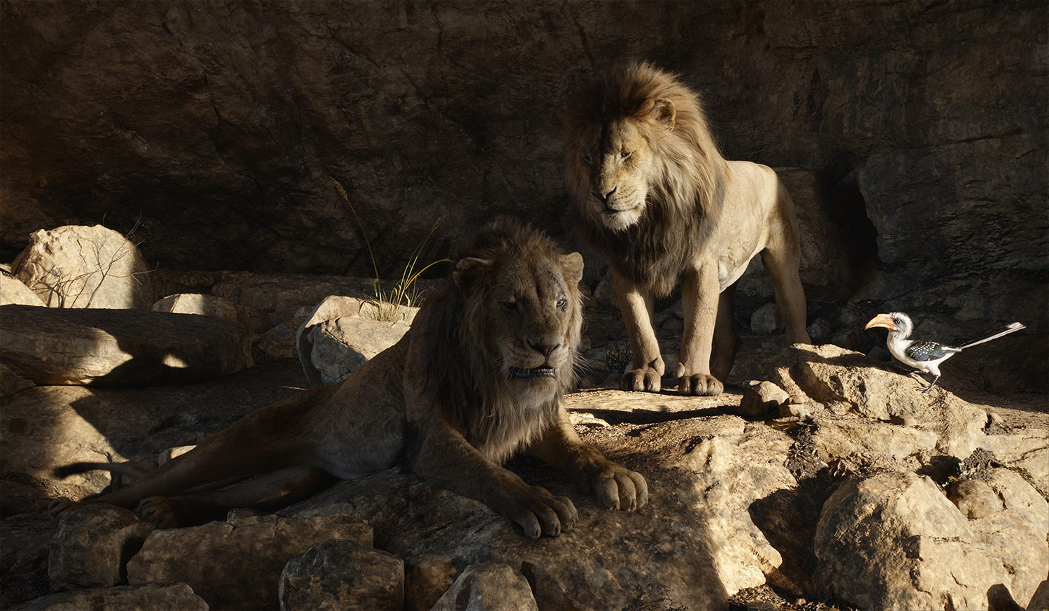 TheLionKing6HD.jpg