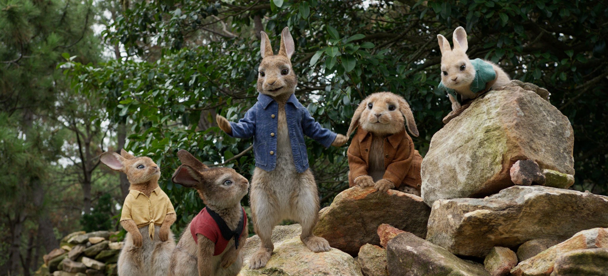 PeterRabbit4_2048.jpg